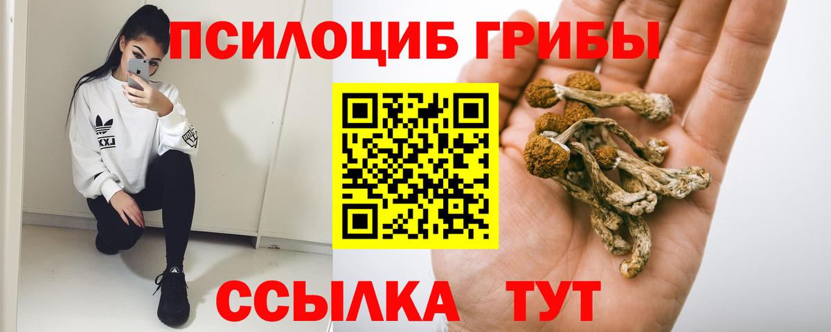 Псилоцибиновые грибы мицелий  Вход с VPN  Десногорск 